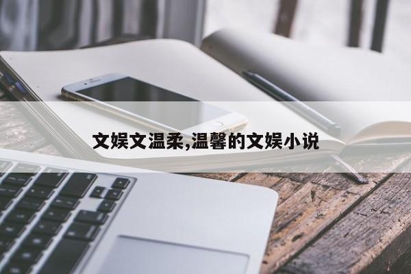 文娱文温柔,温馨的文娱小说